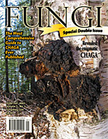 Fungi Magazine Special Issue Morels