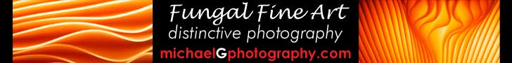 Advertise on FUNGIMag.com!