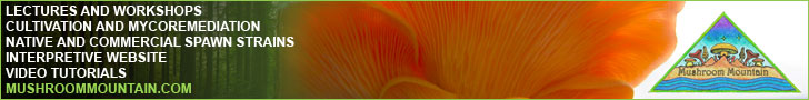 Visit Mushroommountain.com