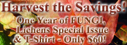Subscribe to FUNGI Magazine Today!