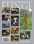 Click to View ToC