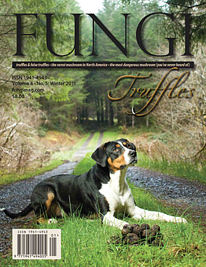 Fungi Magazine Winter 2011 Cover