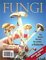 Fungi Magazine Special Issue Psilocybe Mushrooms