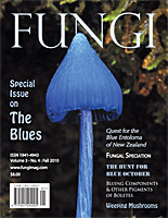 FUNGI Magazine - The Magazine for Amateur and Professional Mushroom ...