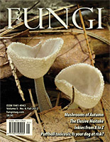 FUNGI Magazine - The Magazine for Amateur and Professional Mushroom ...