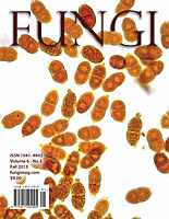 FUNGI  Magazine Winter 2012