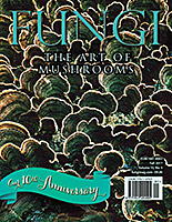 FUNGI  Magazine Winter 2012