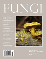 FUNGI Magazine - The Magazine for Amateur and Professional Mushroom ...