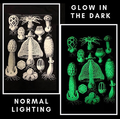 Glow In The Dark