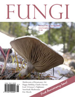 FUNGI Magazine - The Magazine for Amateur and Professional Mushroom ...