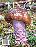 FUNGI  Magazine Winter 2012