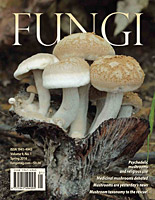 FUNGI  Magazine Winter 2012