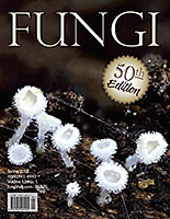 FUNGI Magazine - The Magazine for Amateur and Professional Mushroom ...