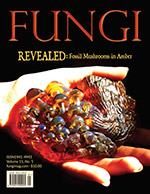 FUNGI  Magazine Winter 2012