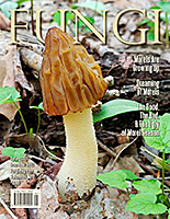 FUNGI Magazine - The Magazine for Amateur and Professional Mushroom ...