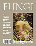 FUNGI Magazine - The Magazine for Amateur and Professional Mushroom ...