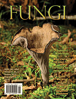 FUNGI Magazine - The Magazine for Amateur and Professional Mushroom ...