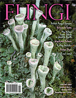 FUNGI  Magazine Winter 2012