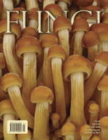 FUNGI Magazine Fall 2023