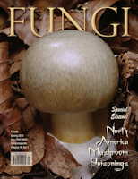 Vol. 18 No. 1 - Spring 2025