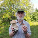Portrait of the Artist as a Mycologist, David O. Born