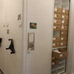 Fungal Collections and Conservation, Barbara M. Thiers