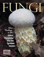 Vol. 18 No. 4 - Fall 2025