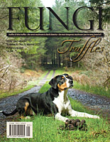 FUNGI  Magazine Winter 2012