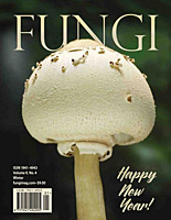 FUNGI  Magazine Winter 2012